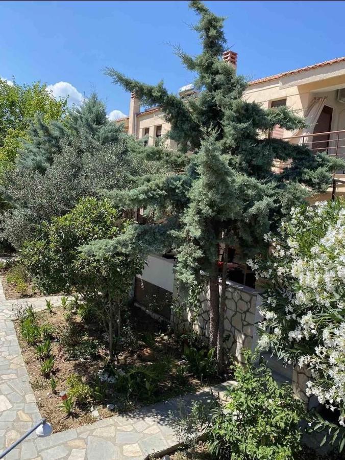 Papadopoulos Houses Nikiti  Exterior foto